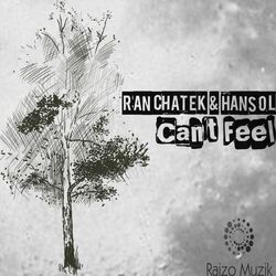 Cover of Can't Feel