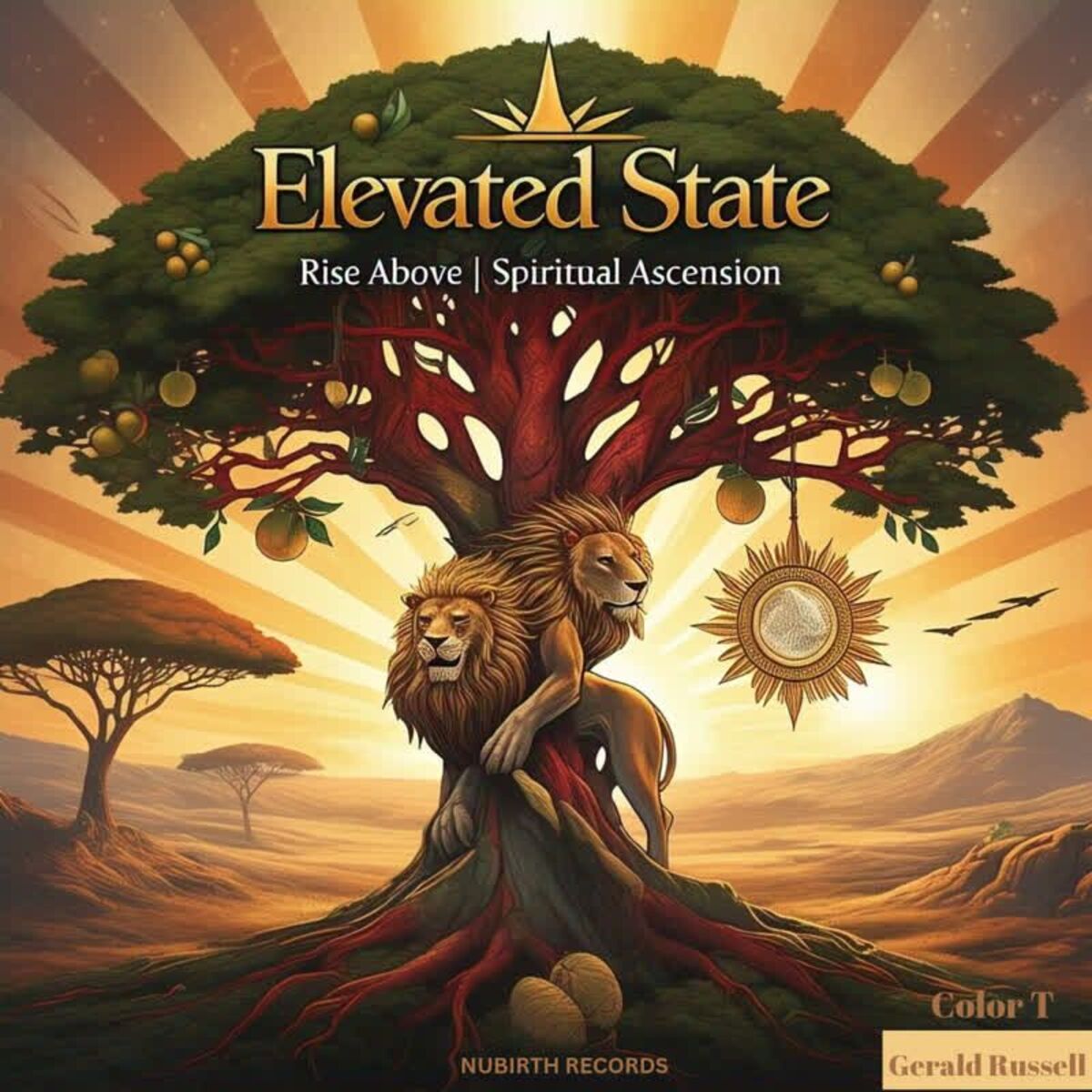Album cover of ELEVATED STATE (Rise Above / spiritual ascension)