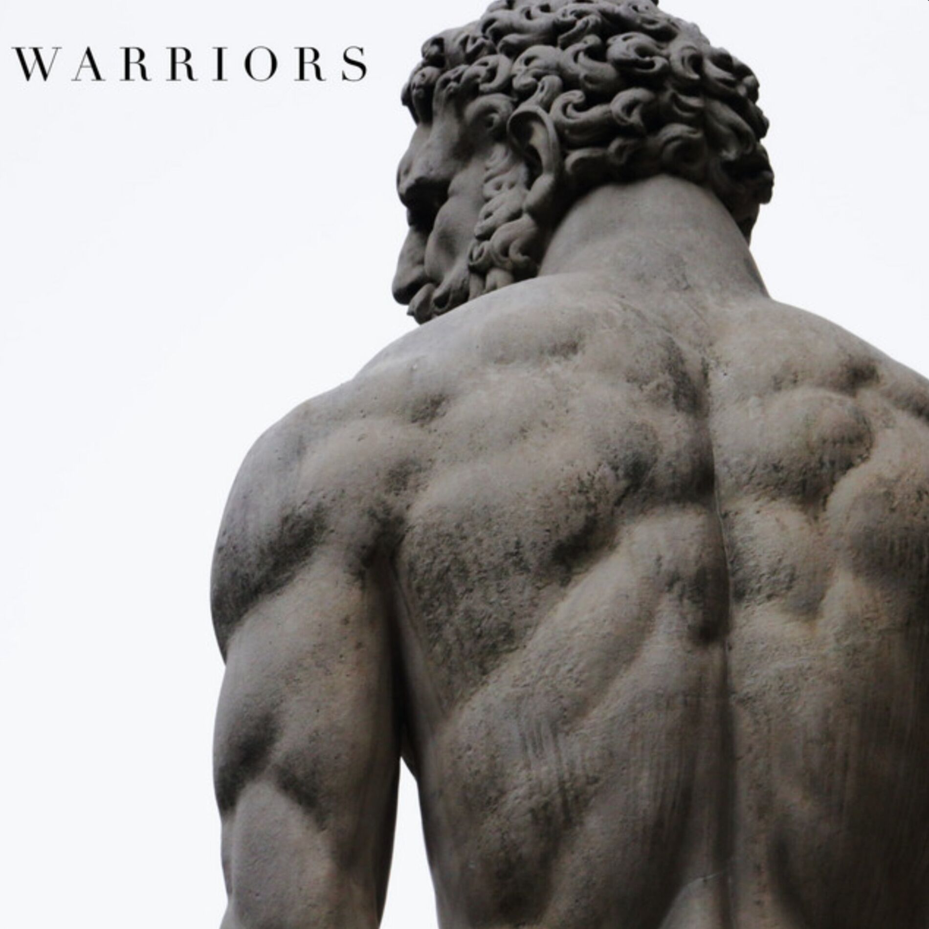 Album cover of Warriors