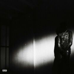 Cover of NO STYLIST