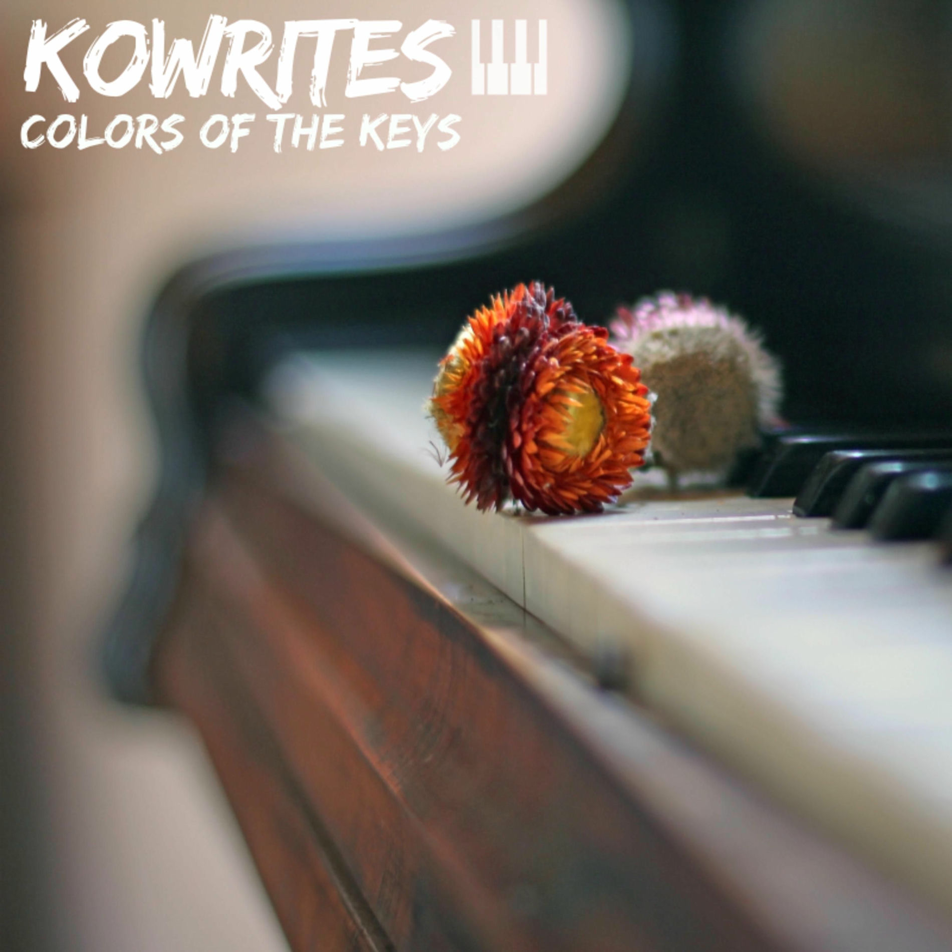 Album cover of Colors Of The Keys