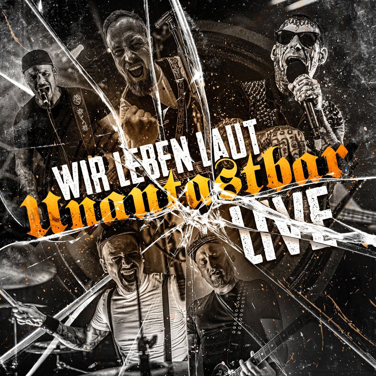 Album cover of WIR LEBEN LAUT - LIVE