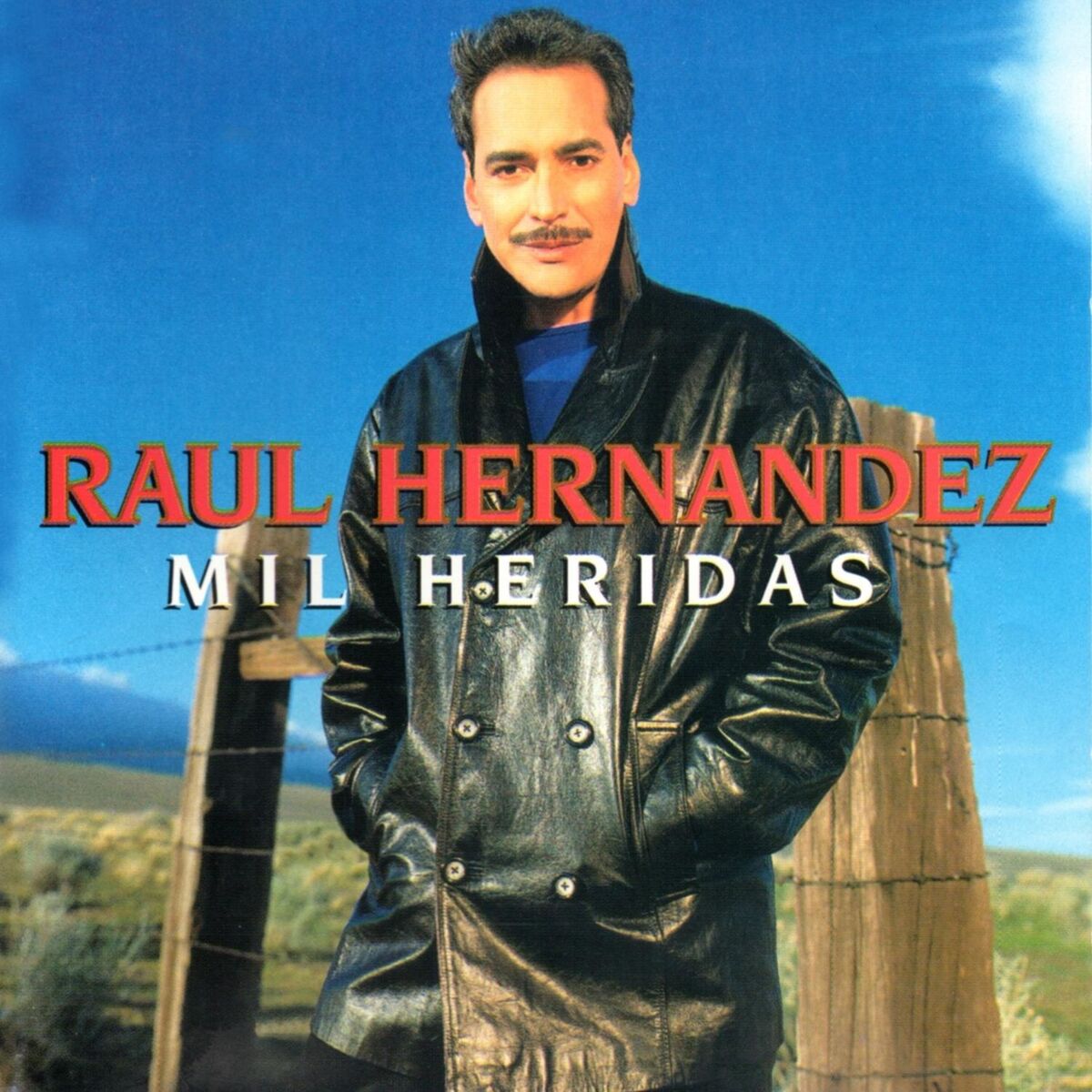 Album cover of Mil Heridas