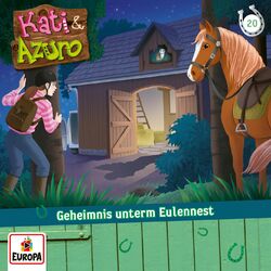 Cover of 020/Geheimnis unterm Eulennest