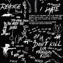 Cover of SKINS