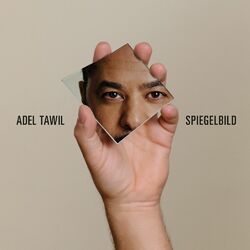 Cover of Spiegelbild