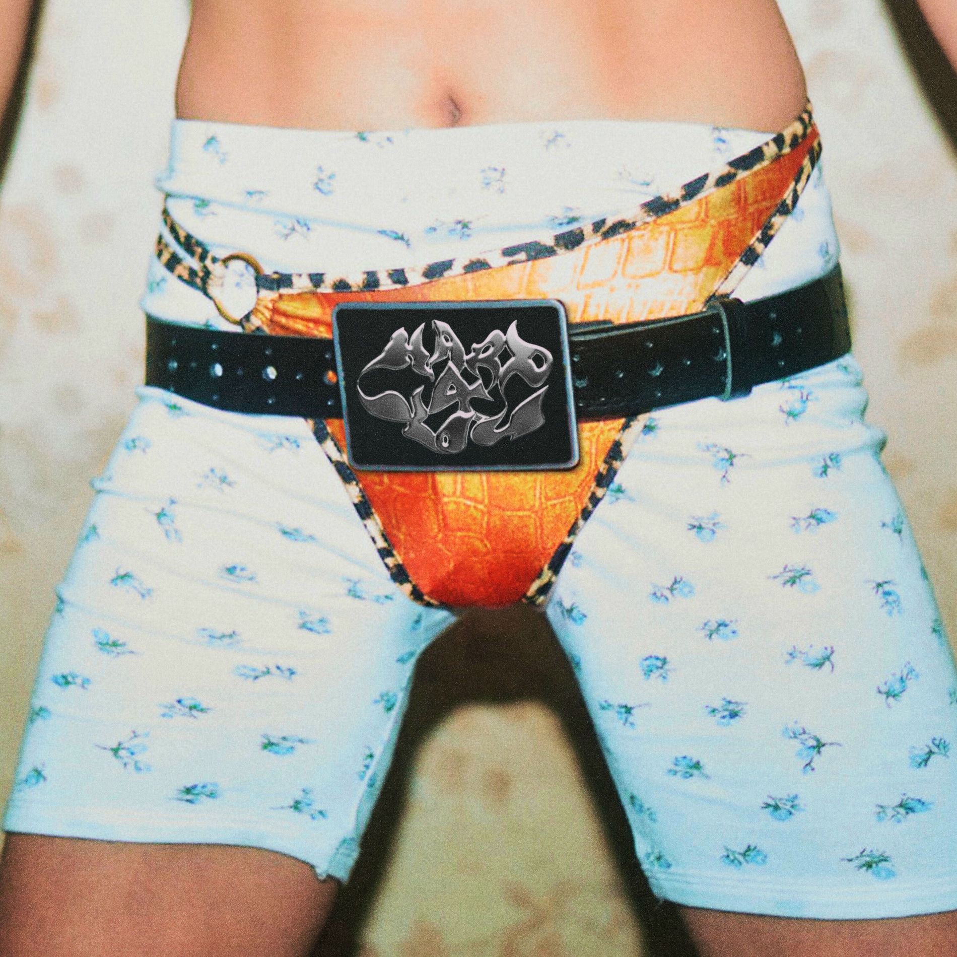 Album cover of Hard 4 You