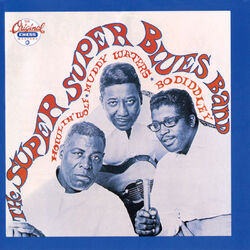 Cover of The Super Super Blues Band