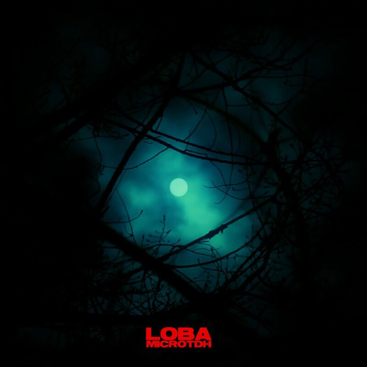 Album cover of Loba