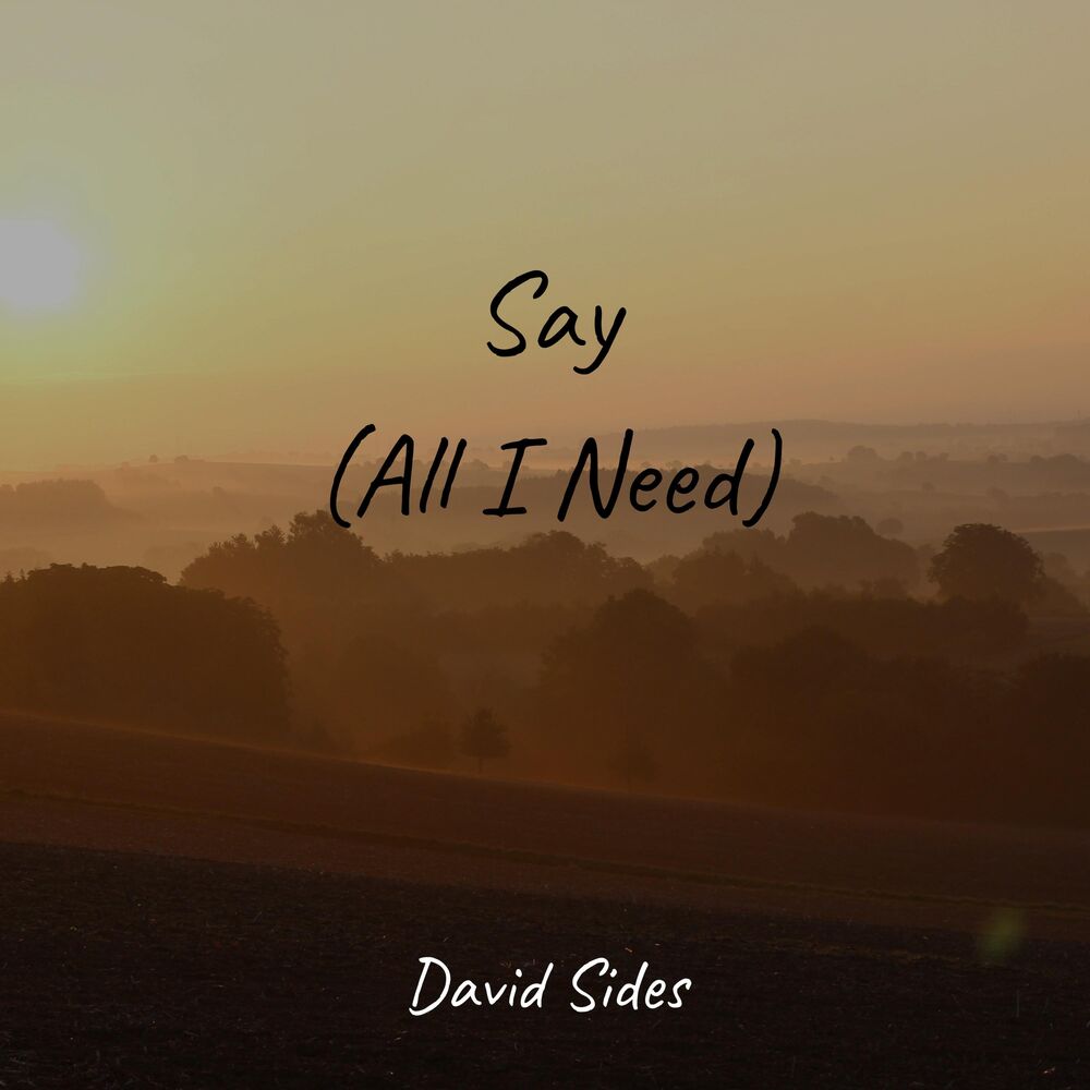 Picture of Say (All I Need)
