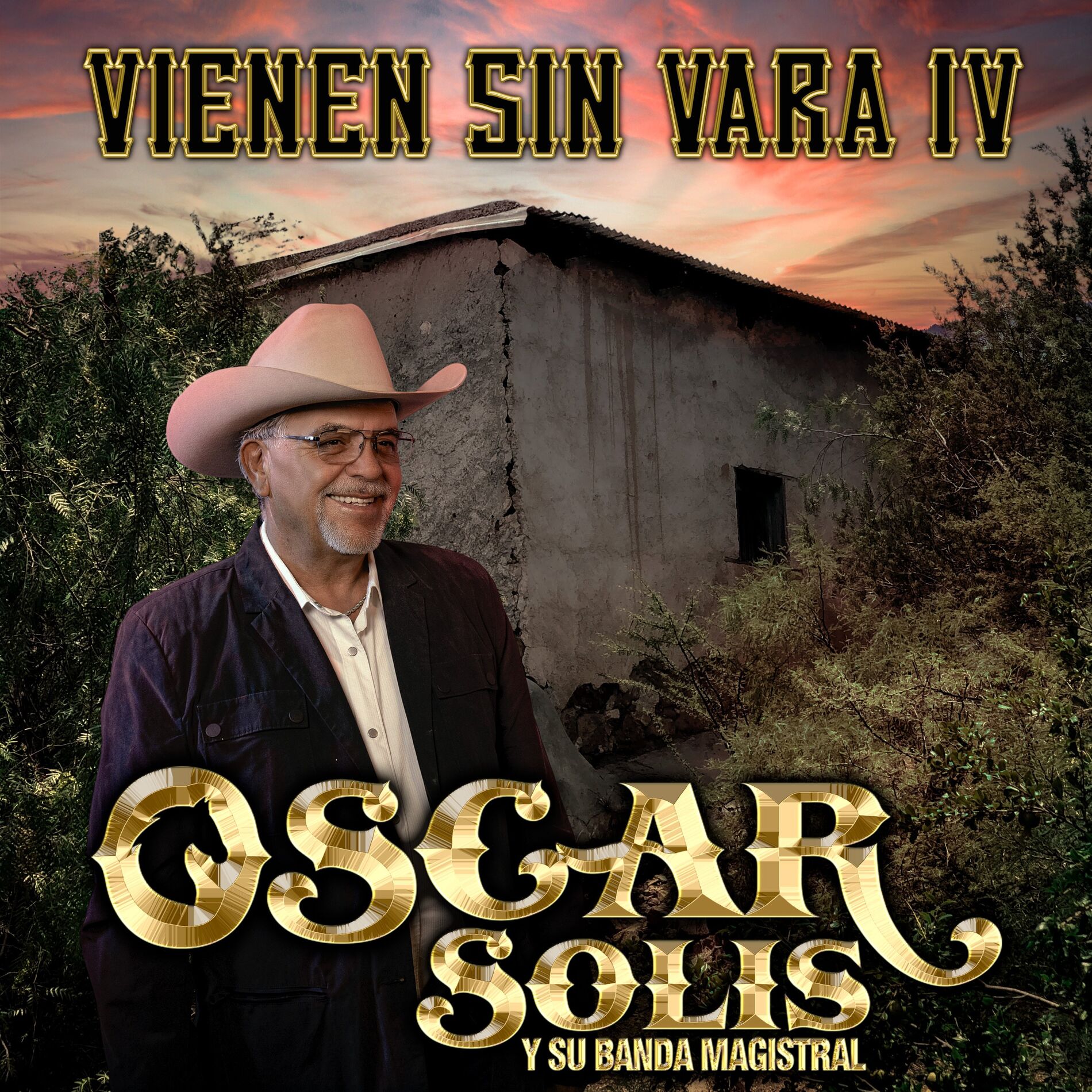 Album cover of Vienen Sin Vara IV
