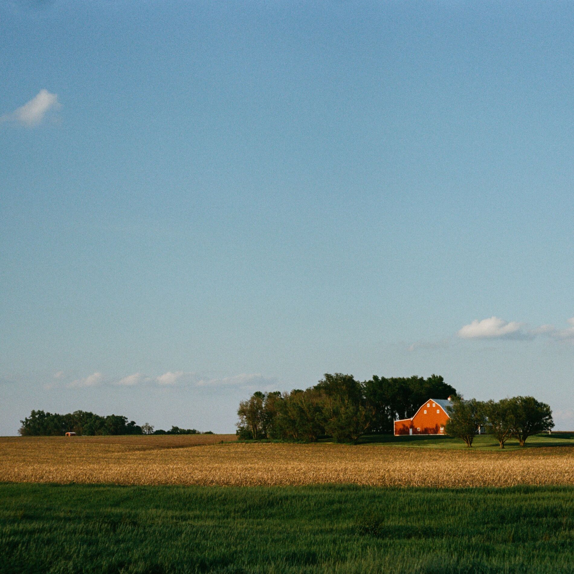 Album cover of Americana