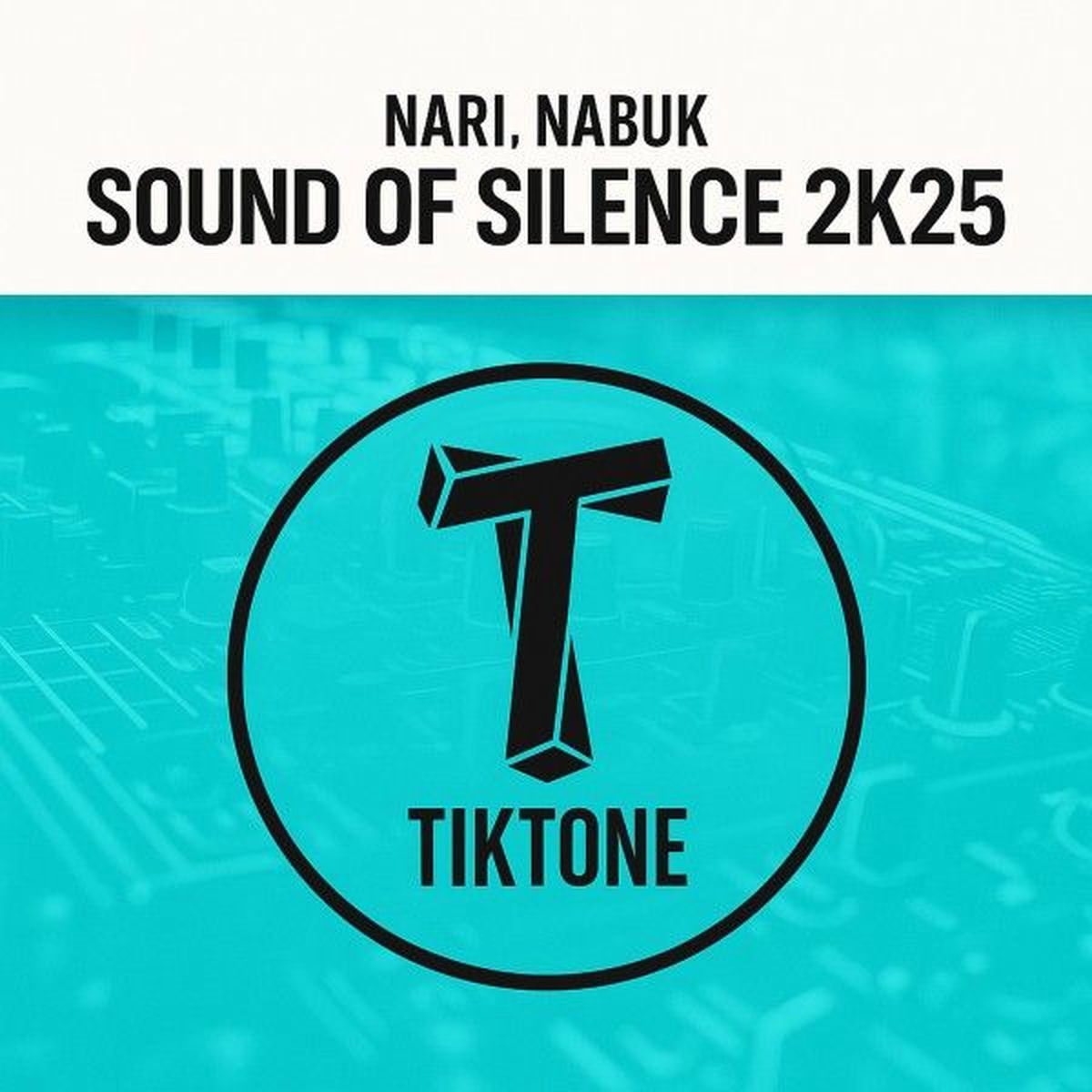 Album cover of Sound of Silence 2k25