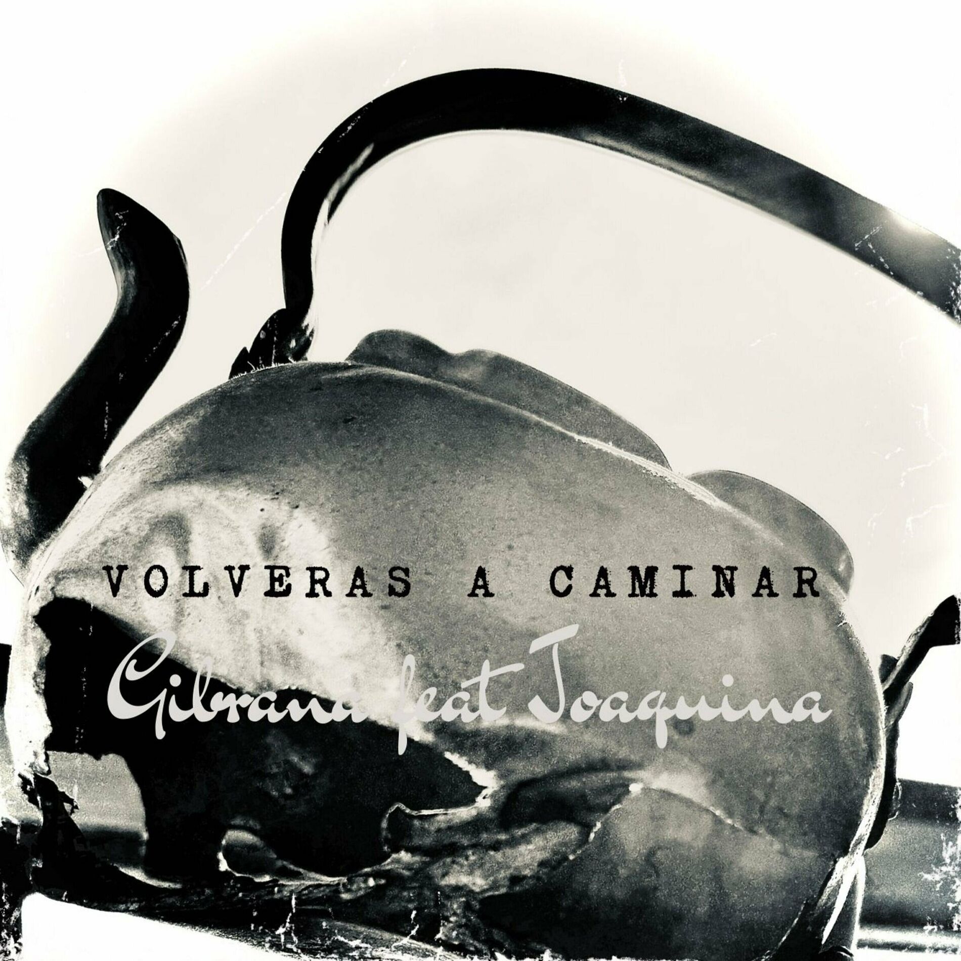 Album cover of Volverás a caminar