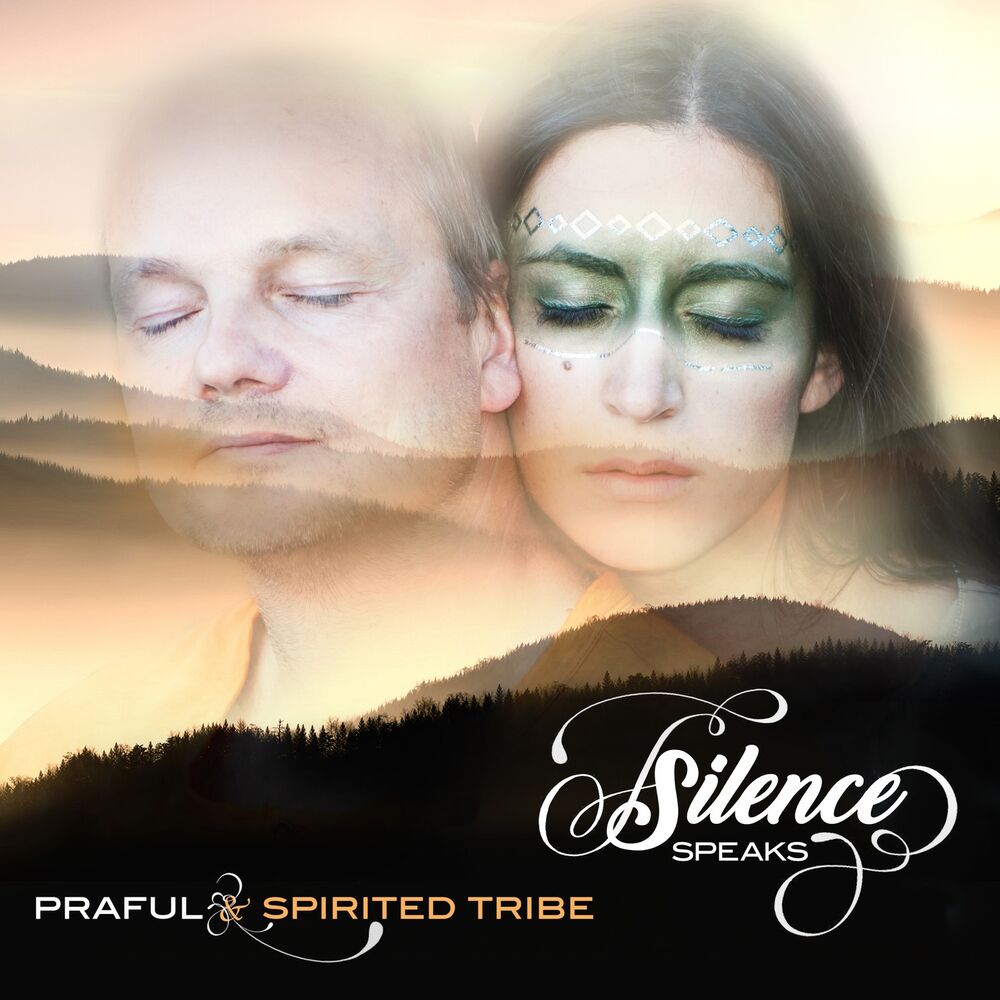 Picture of Silence Speaks