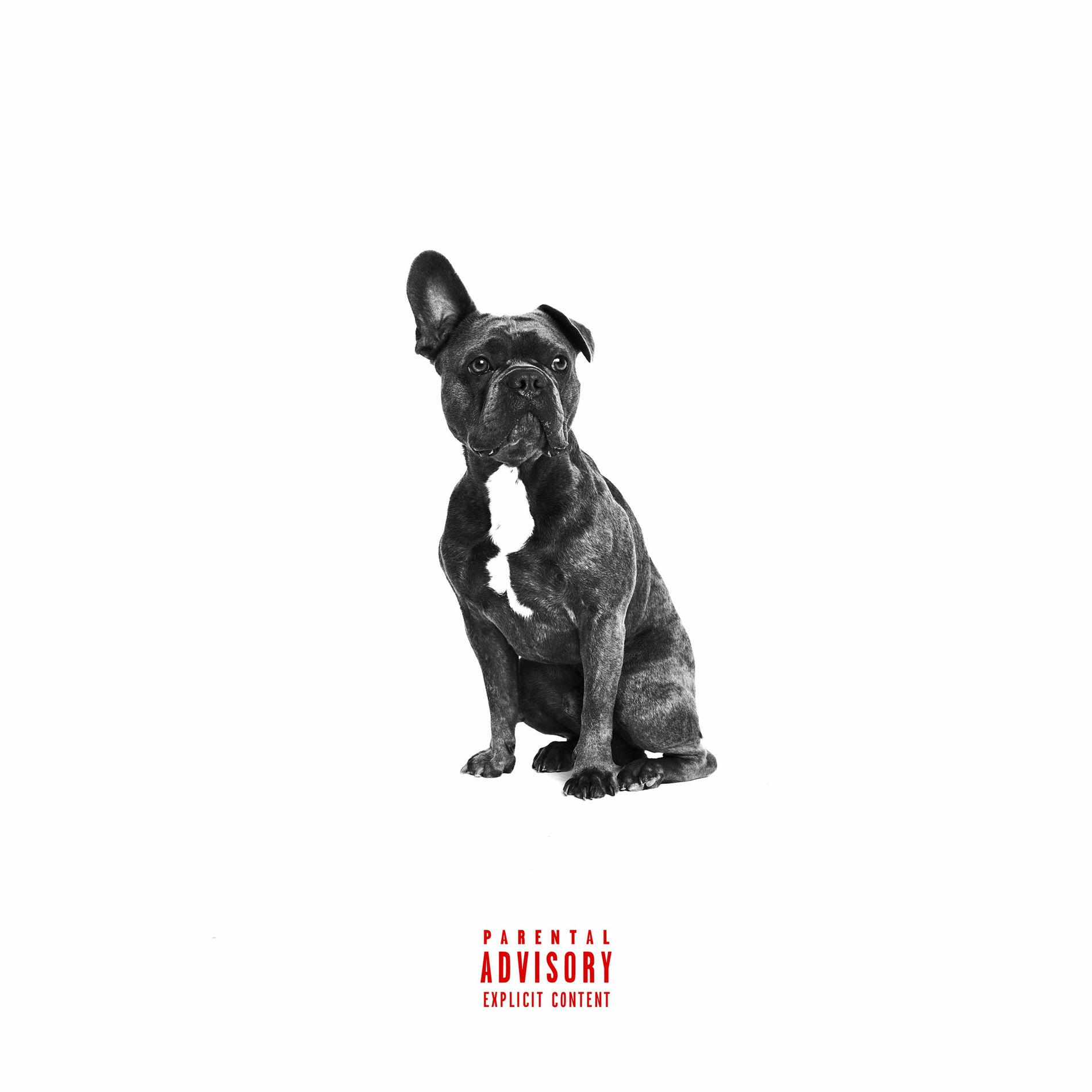 Album cover of Alpha