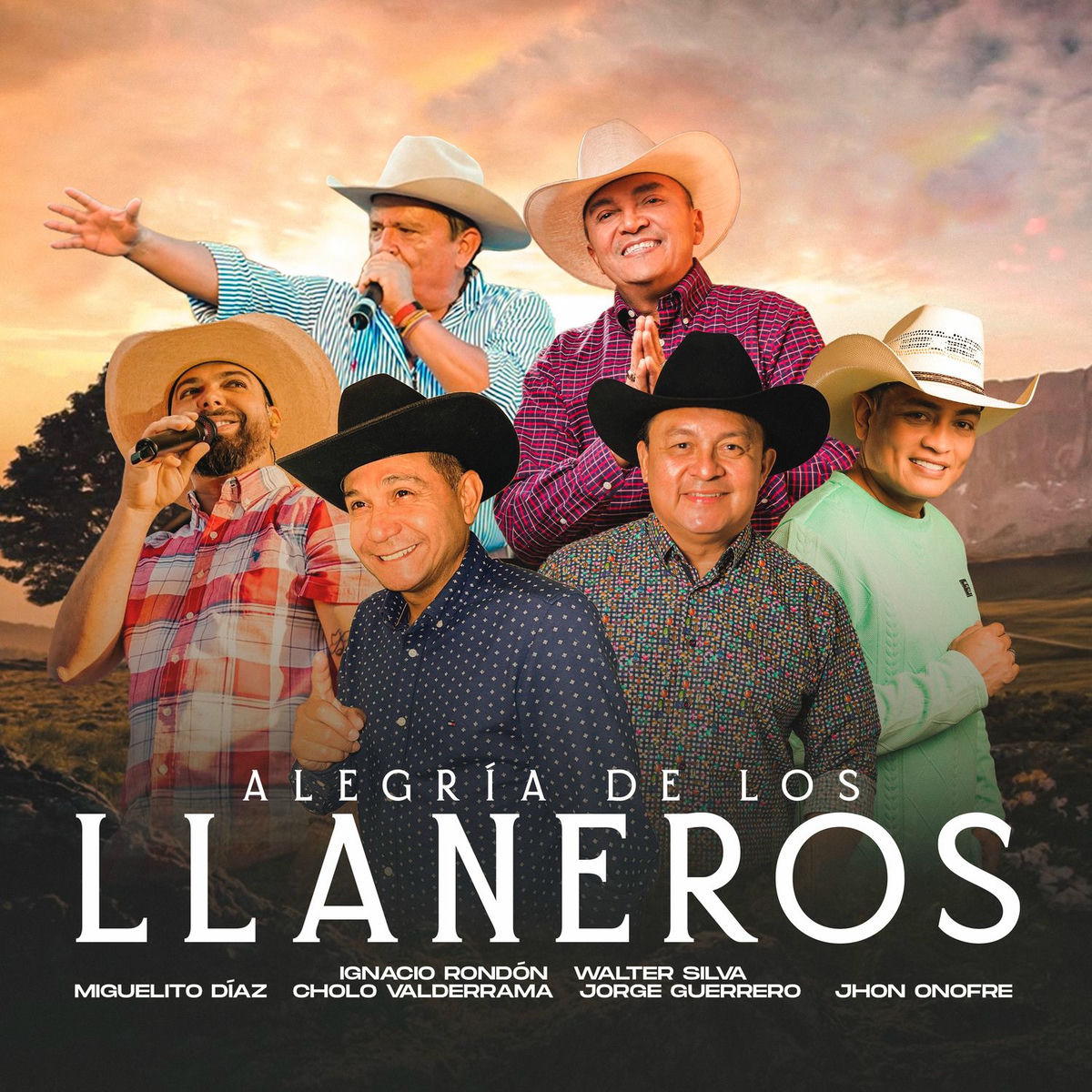 Album cover of Alegría De Los Llaneros