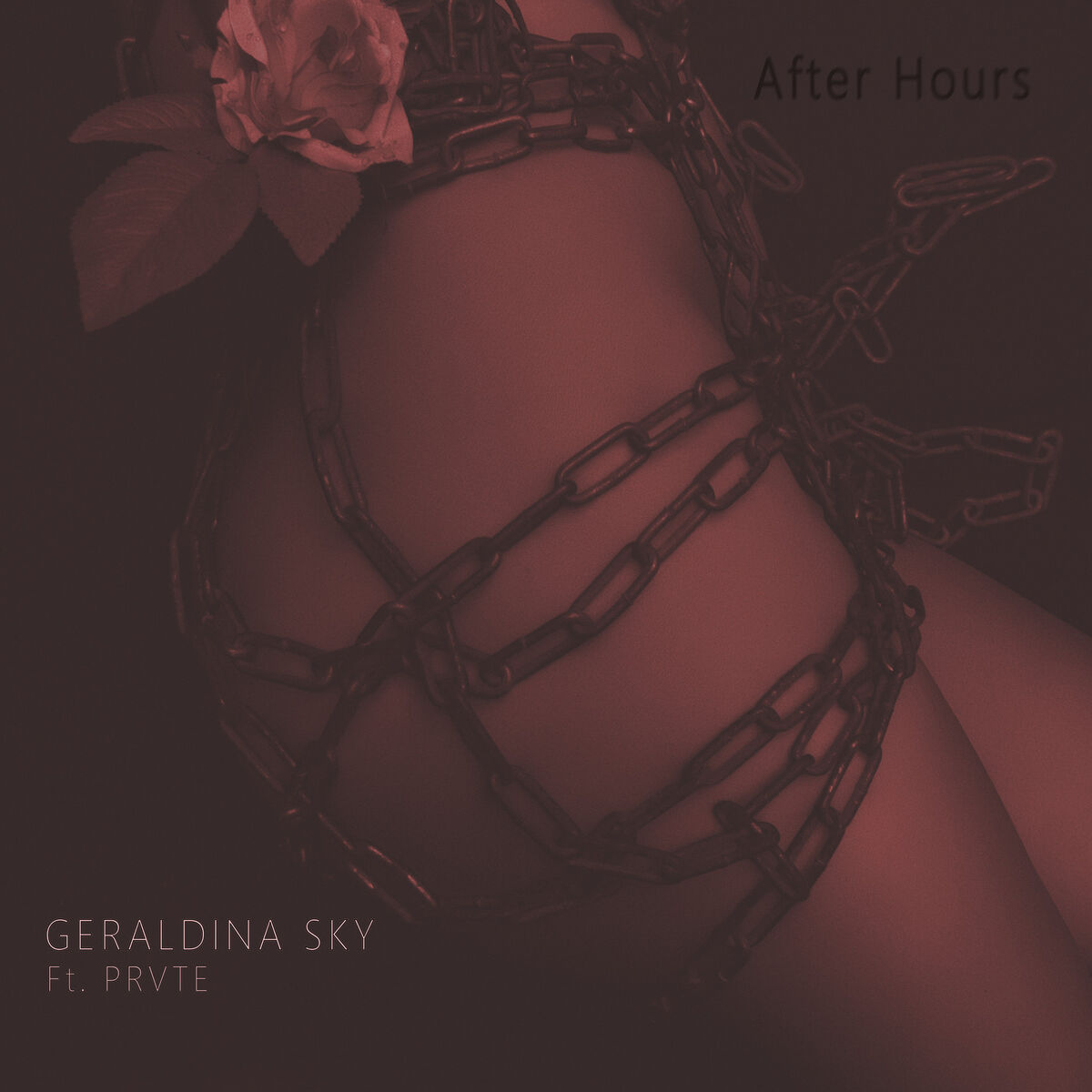 Album cover of After Hours