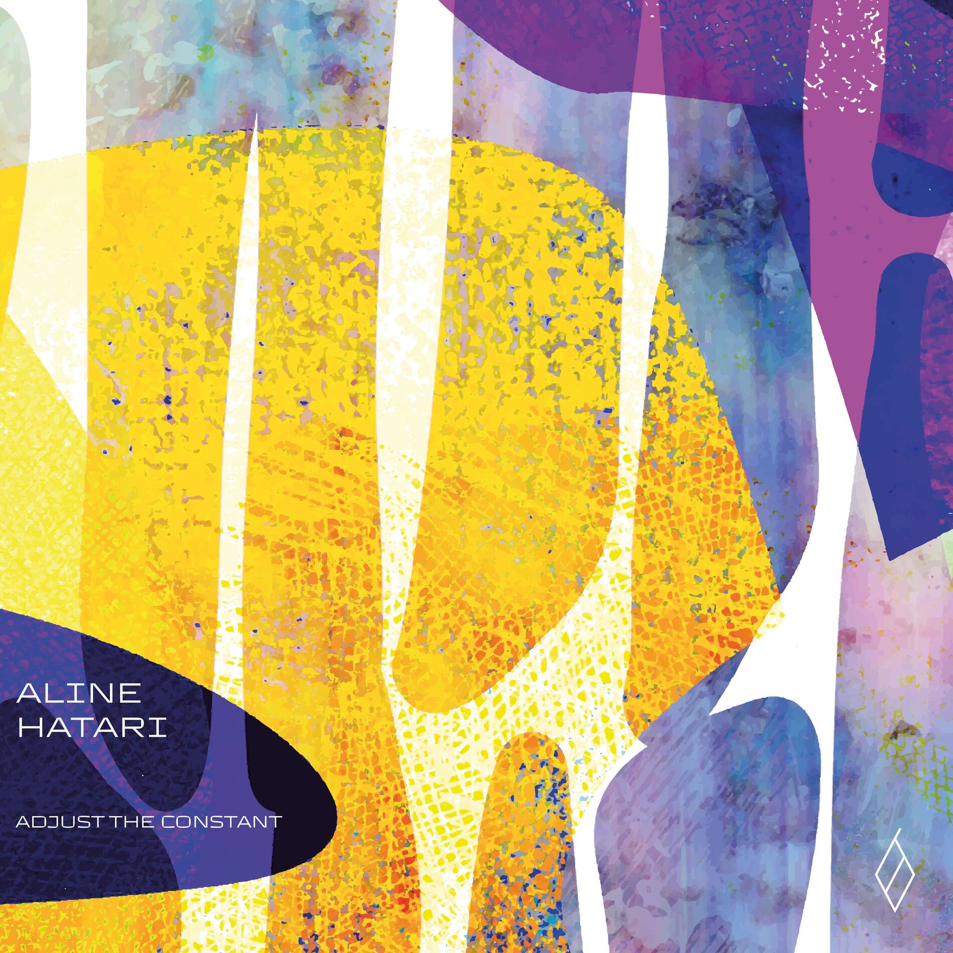 Album cover of Adjust the Constant