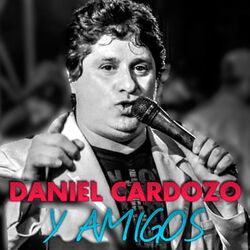 Cover of Y Amigos
