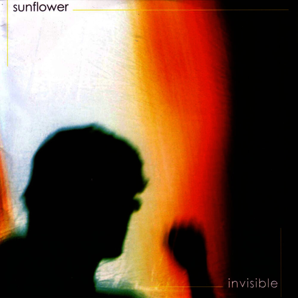 Picture of Invisible