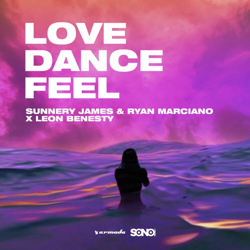 Picture of Love, Dance And Feel