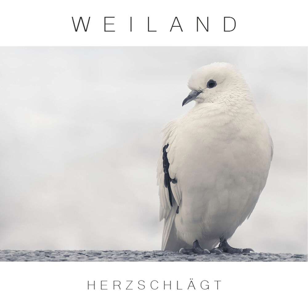 Picture of Herzschlägt