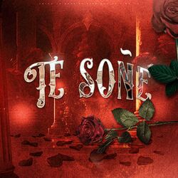 Cover of Te Soñé