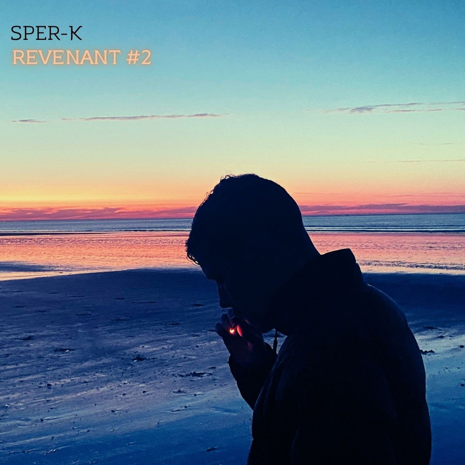 Album cover of REVENANT #2