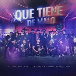 Cover of Que Tiene De Malo (En Vivo)