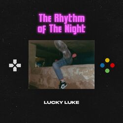 Cover of The Rhythm of the Night