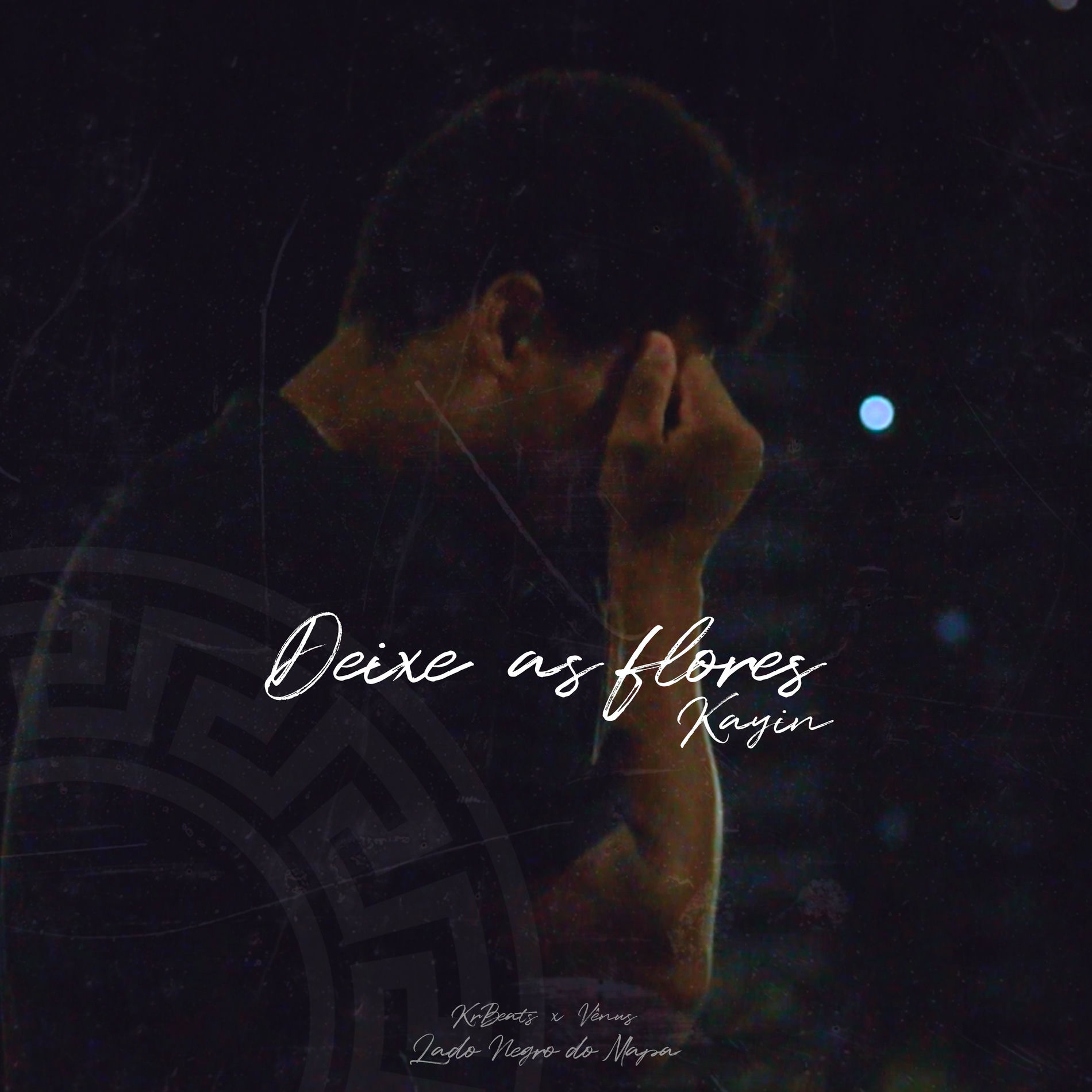 Album cover of Deixe as Flores