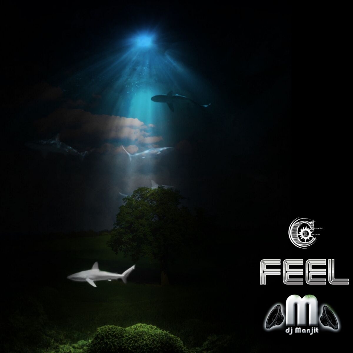 Album cover of Feel