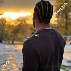 Cover of Momdad