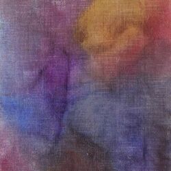 Cover of N.R.D.S.U