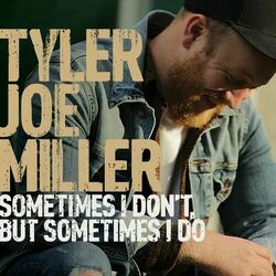 Cover of Sometimes I Don't, But Sometimes I Do
