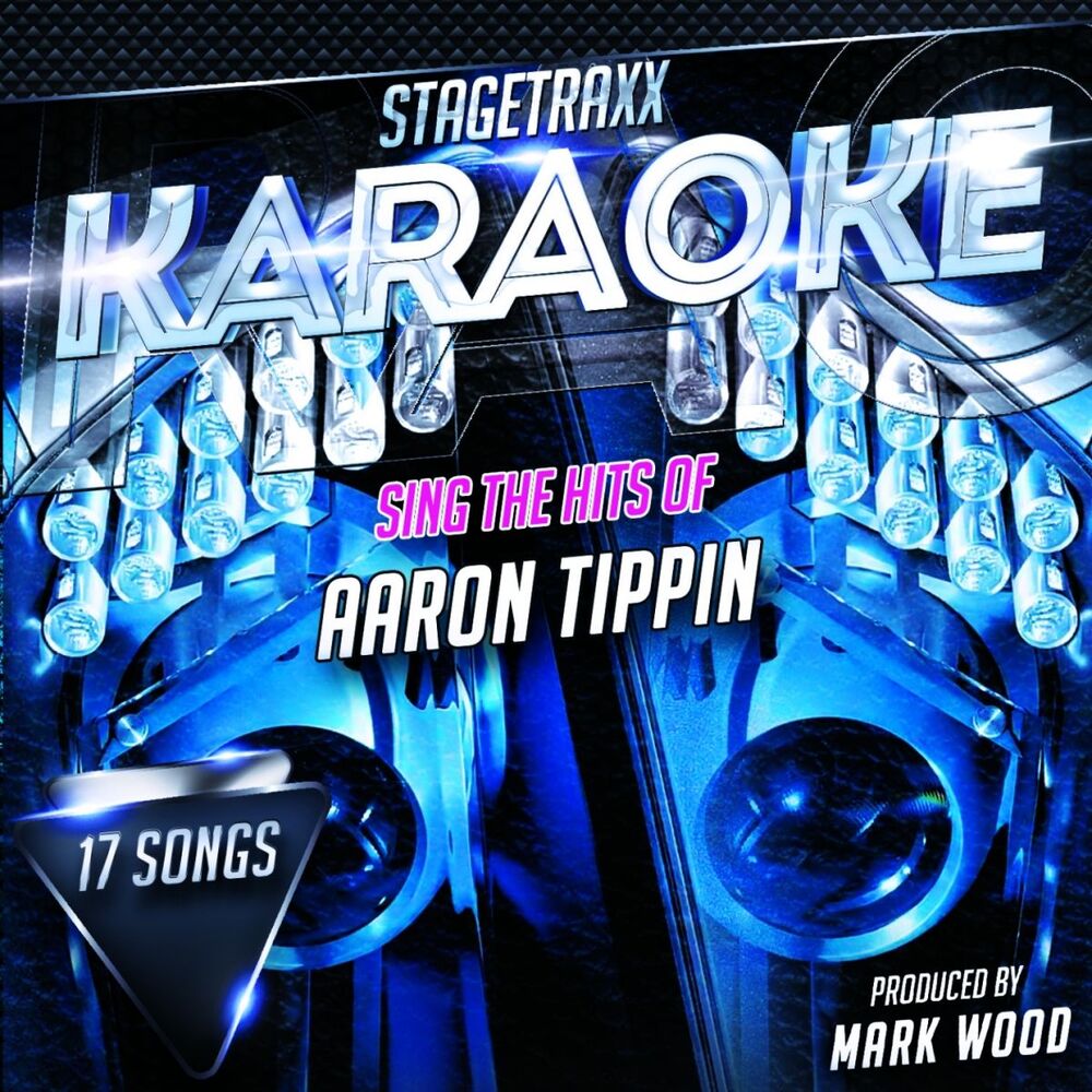 Picture of Sing the Hits of Aaron Tippin