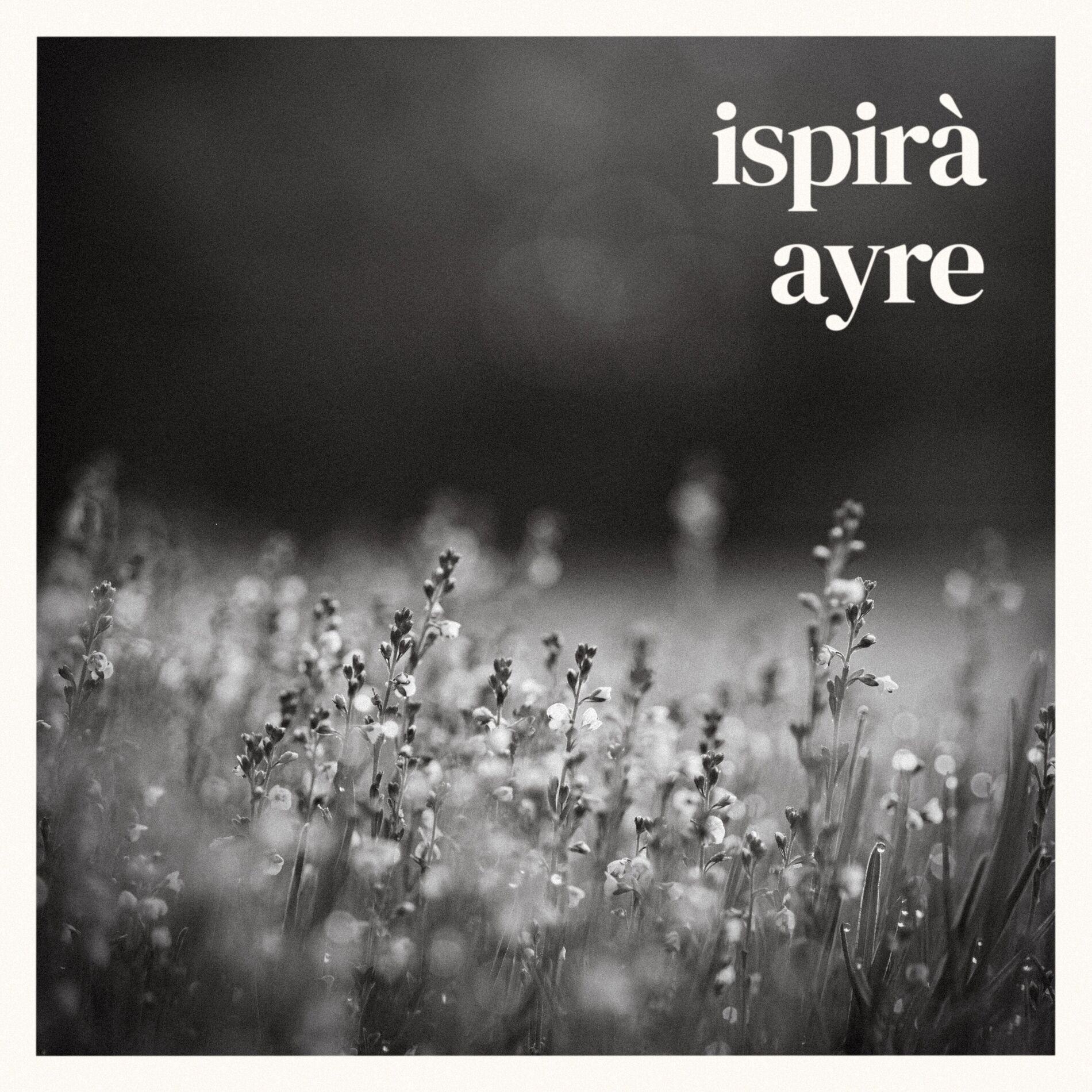 Album cover of ayre