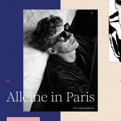 Cover of Alleine in Paris