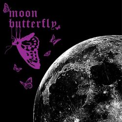 Cover of Moon Butterfly