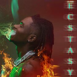 Cover of Ecstasy