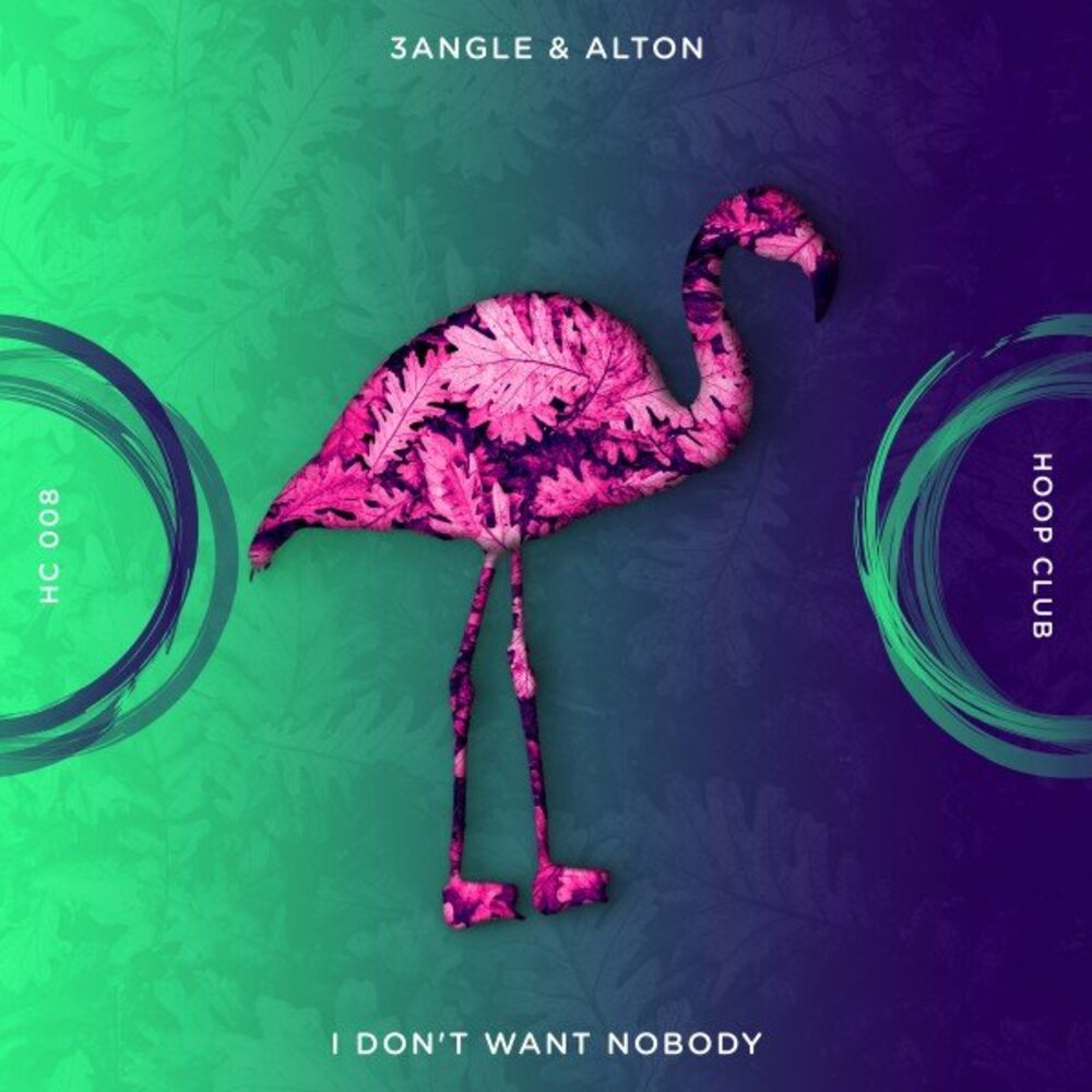 Picture of I Don't Want Nobody