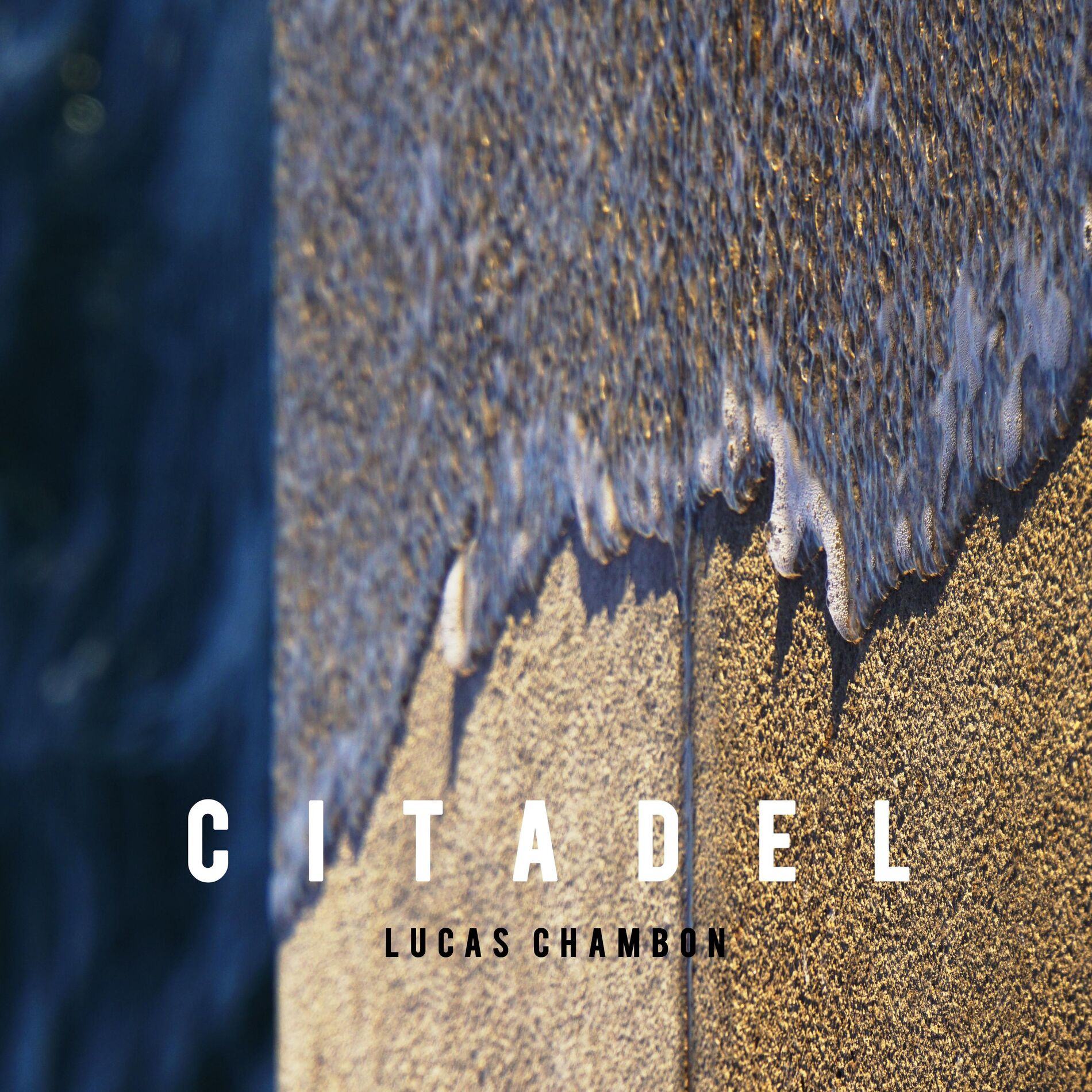 Album cover of Citadel