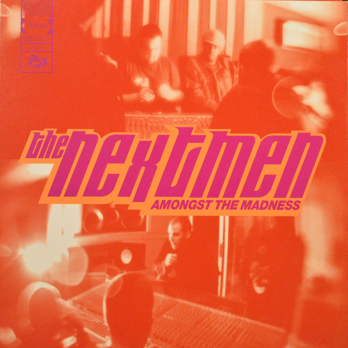 Album cover of Amongst the Madness