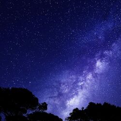 Silent Nights