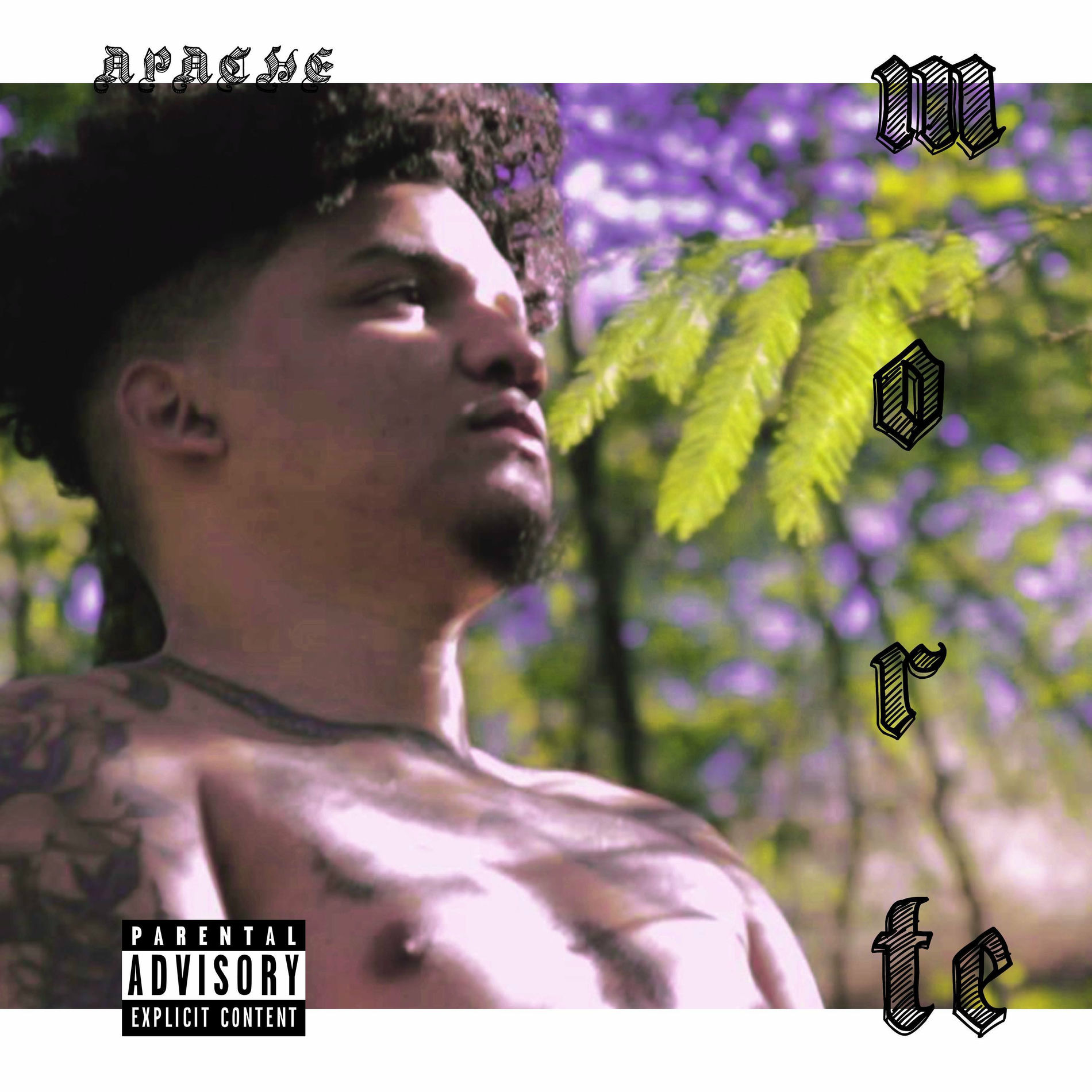 Album cover of Morte