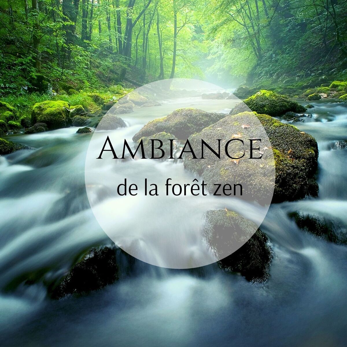 Album cover of Ambiance de la forêt zen: Musique relaxante avec des sons de la nature, L'eau, Oiseaux chanteurs, Vent