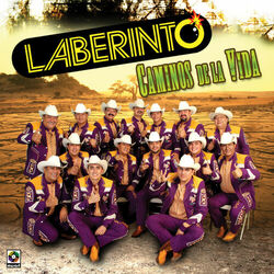 Cover of Caminos De La Vida
