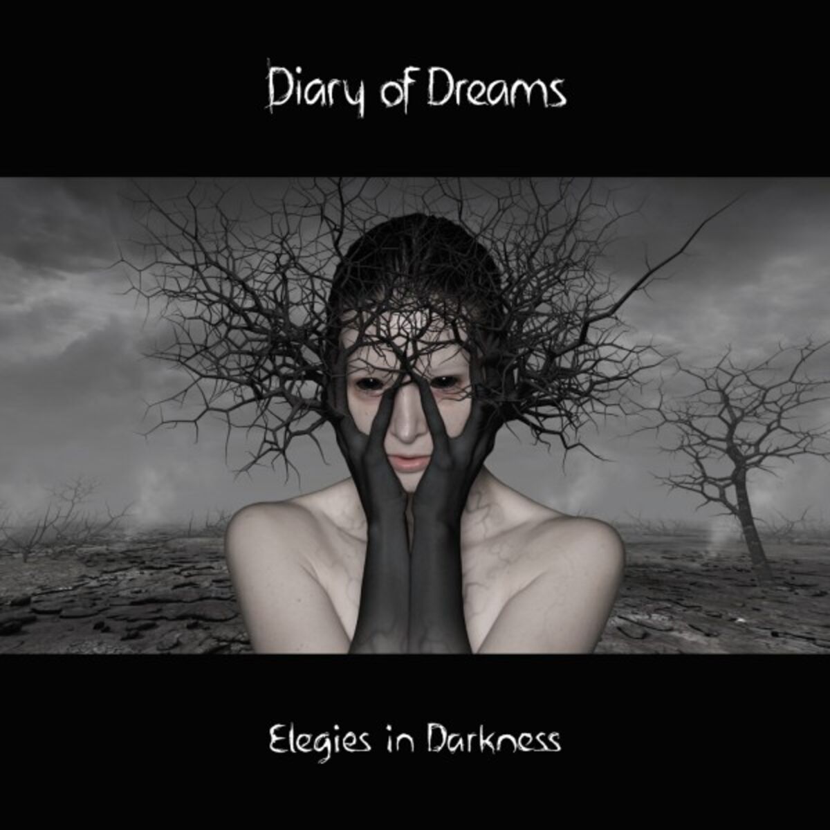 Album cover of Elegies in Darkness