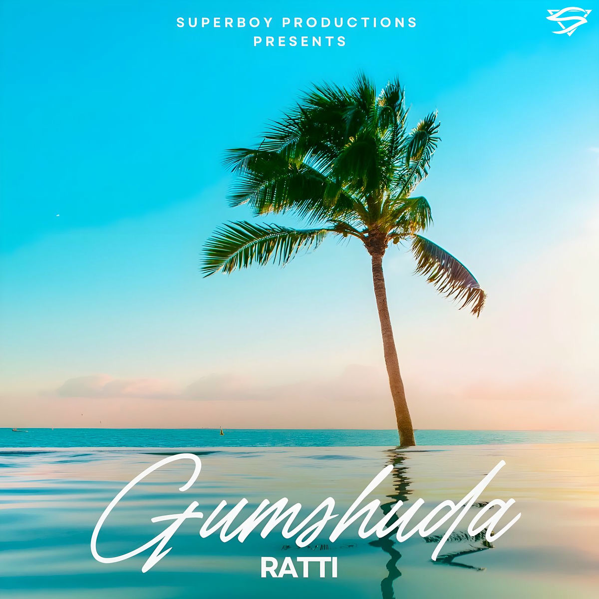 Album cover of Gumshuda